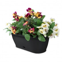 18429 - grande wall with flowers